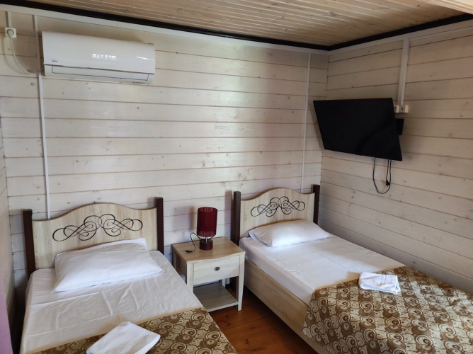 Standard Twin room with mountain view