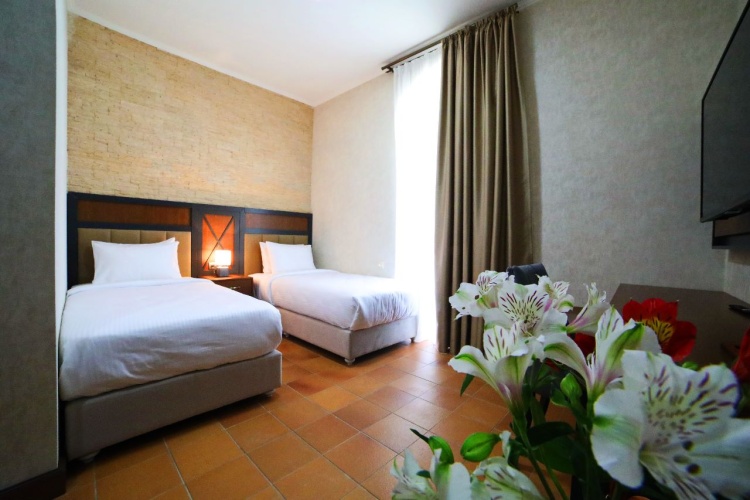 Standard Twin room with view