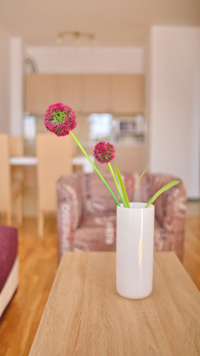 Katrin Apartments