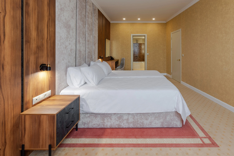 Фотография номера гостиницы Отель Курорт Грейс Люксор Волга Конгресс