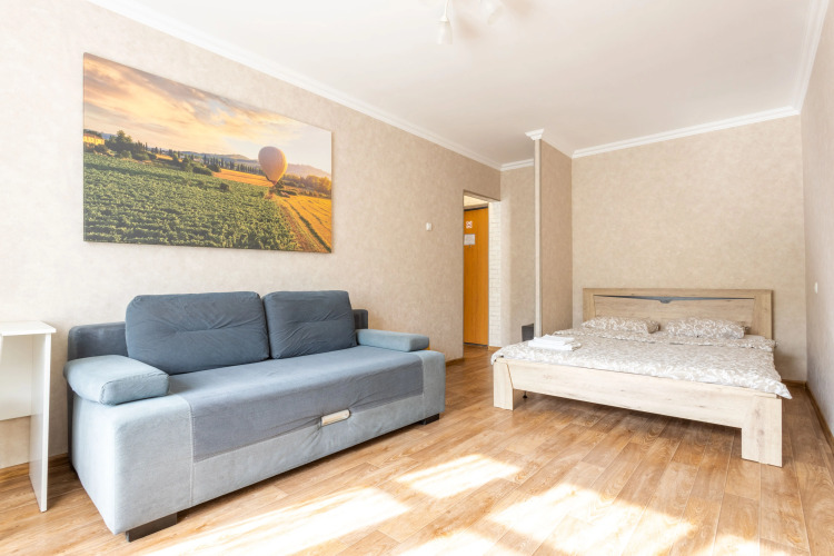 Фотография номера квартиры Апартаменты Однокомнатные Воздушная гавань 3