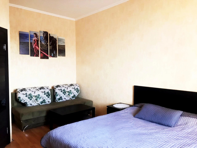 Фотография номера квартиры Апартаменты Hanaka Байкальская 18