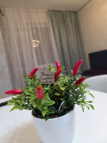 Фотография номера квартиры Квартира ЖК Тимошенко