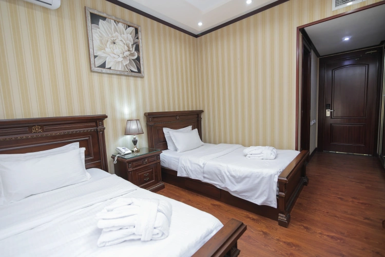 Twin Junior Suite with view