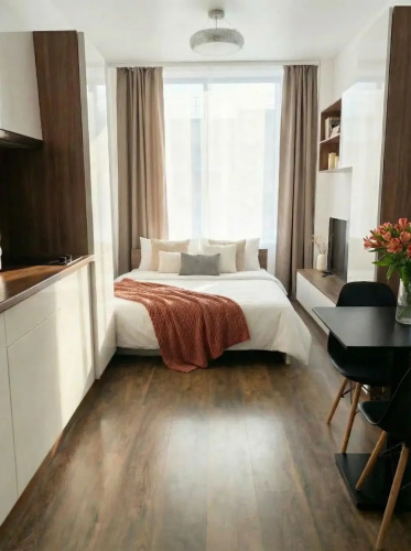 Фотография номера квартиры 3 Апартаменты Радиус для пары с ортопедическим диваном (10)