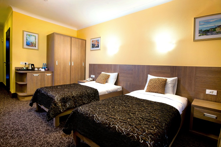 Standard Twin room with view