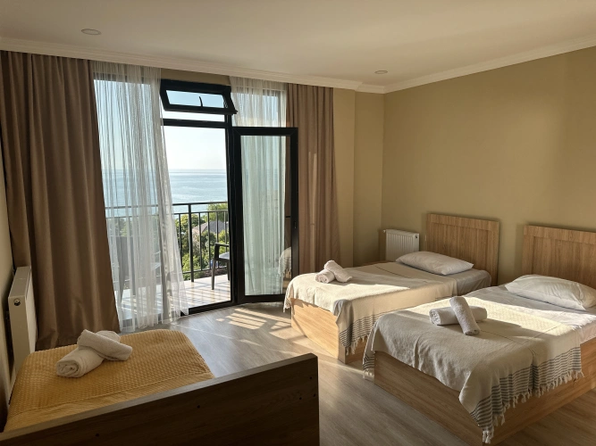Deluxe Double room with balcony and with view