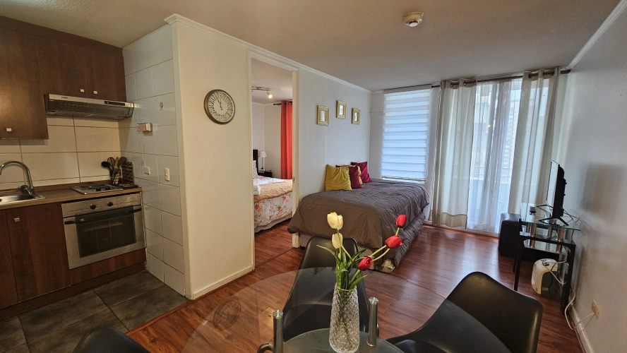 1 Bedroom Apartment