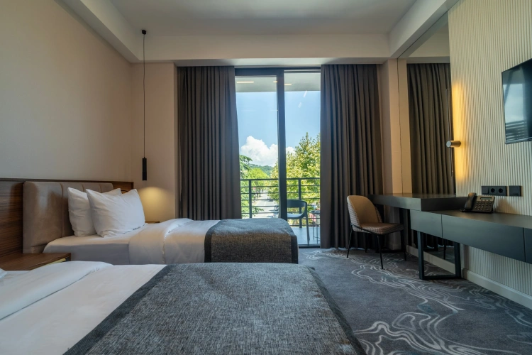 Standard Double room with balcony and with city view