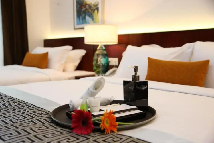 Deluxe Twin room with city view