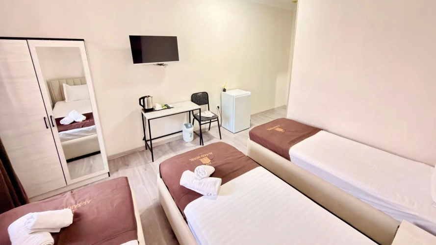 Standard Triple room with city view