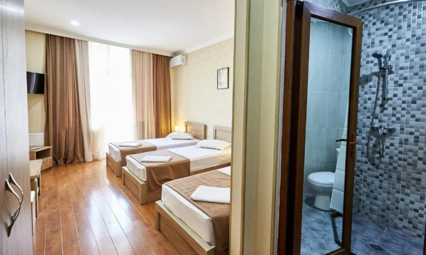 Hotel Old Borzhomi