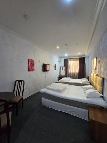 Economy Triple room with city view