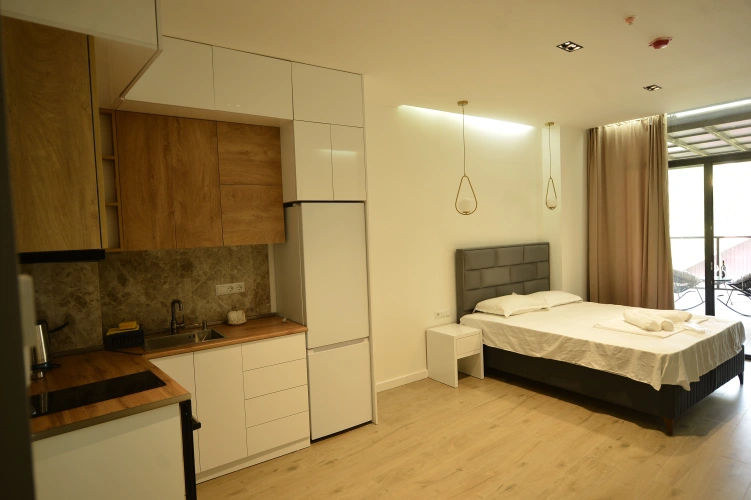 Double Studio with balcony and with mountain view