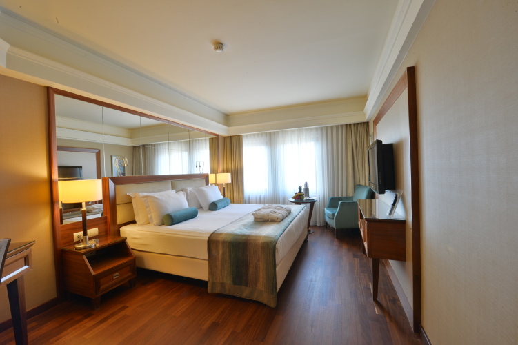 Standard Double room with city view