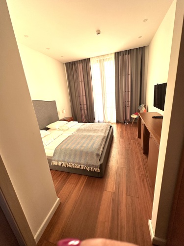 Standard Double room with balcony and with sea view