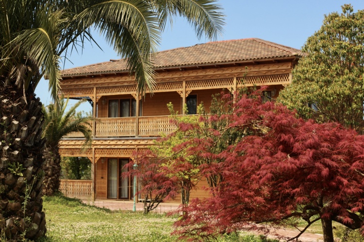 Villa with balcony and with view
