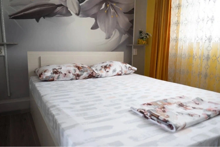 1 Bedroom Apartment with garden view