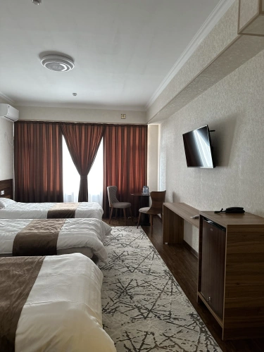 Standard Triple room with view