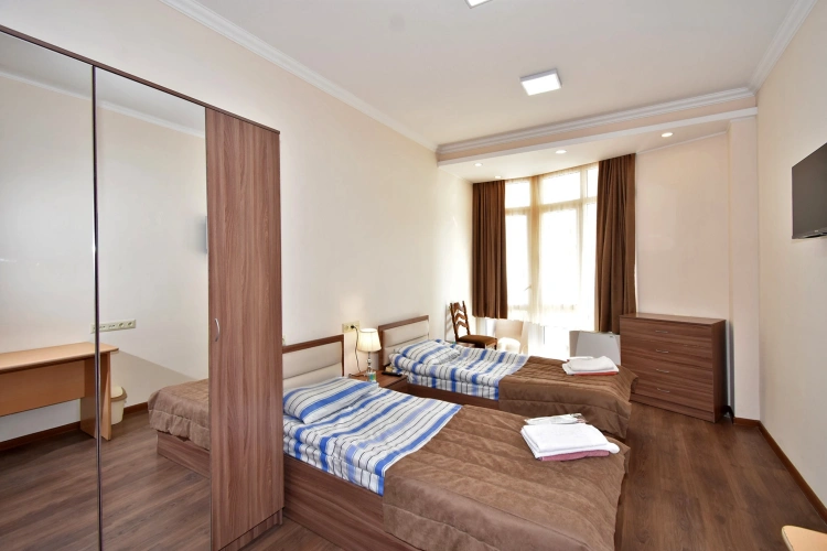 Standard Twin room with balcony and with view