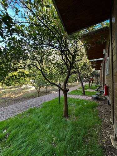 Olympos Varuna Pansiyon Guest house