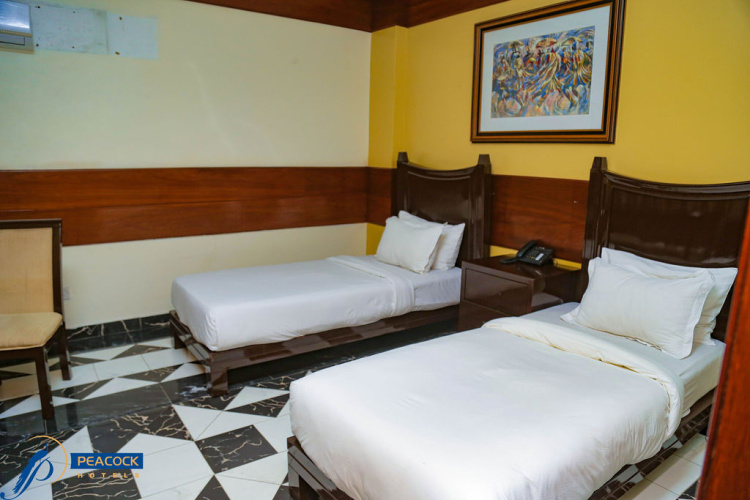 Deluxe Twin room with balcony and with view