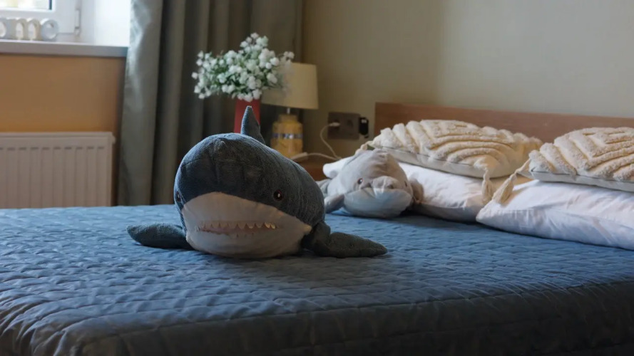 Фотография номера квартиры Апартаменты Прекрасная Кёнигсбергщина-1