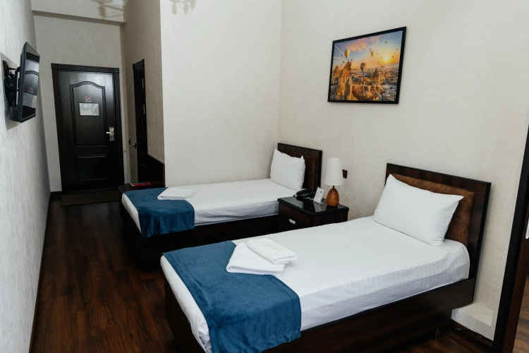 Standard Twin room with view
