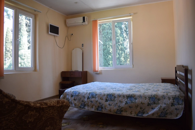 Standard Single room with view
