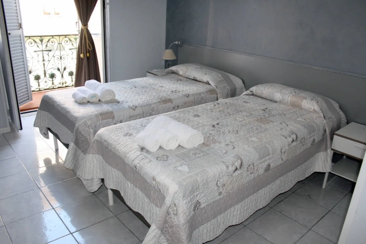 Standard Twin room with view