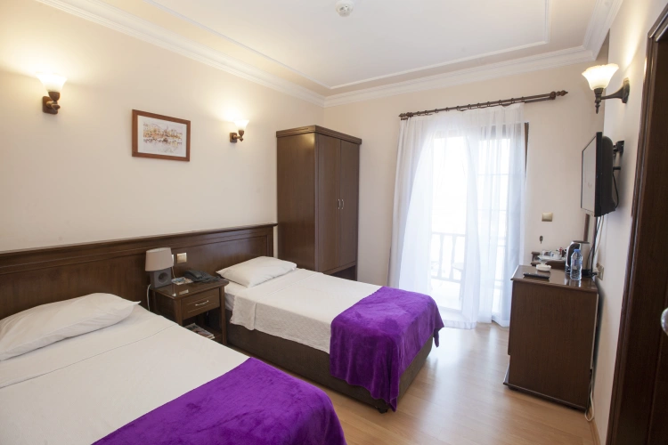 Standard Twin room with balcony and with view