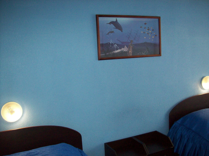 Фотография номера гостиницы Гвоздика