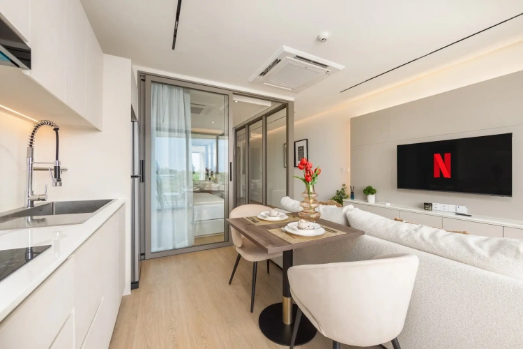 Deluxe Apartment