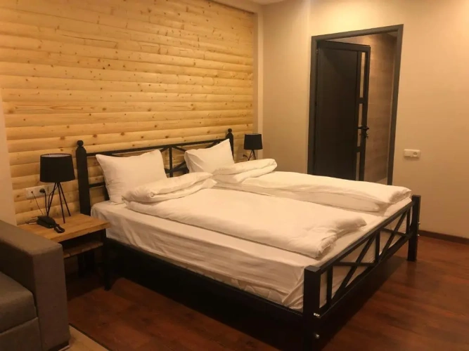 Deluxe Double room with balcony and with mountain view