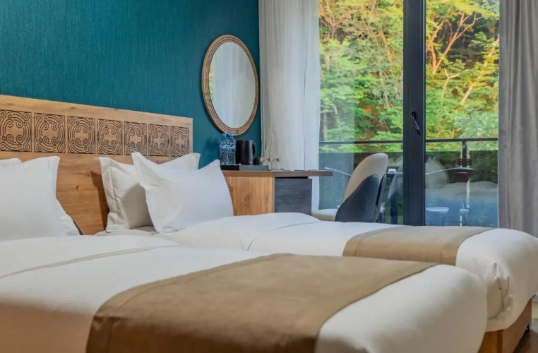 Standard Twin room with balcony and with mountain view