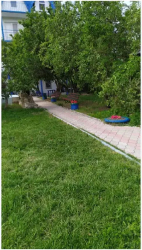 Фотография отеля