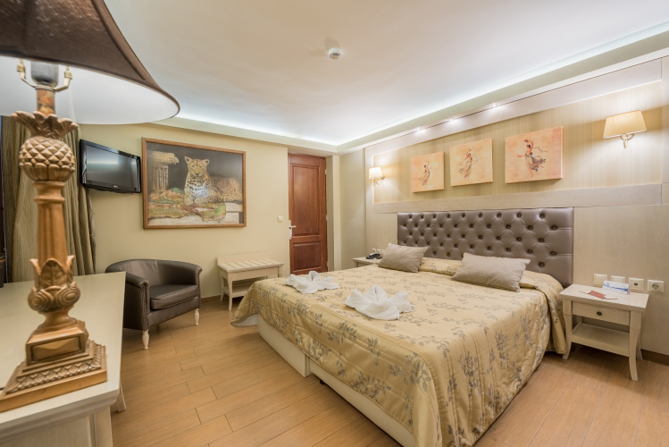 Standard Double room with balcony and with view