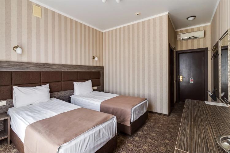 Фотография номера гостиницы Родина