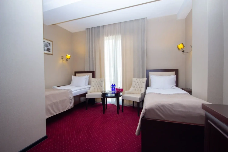 Standard Twin room with balcony and with view