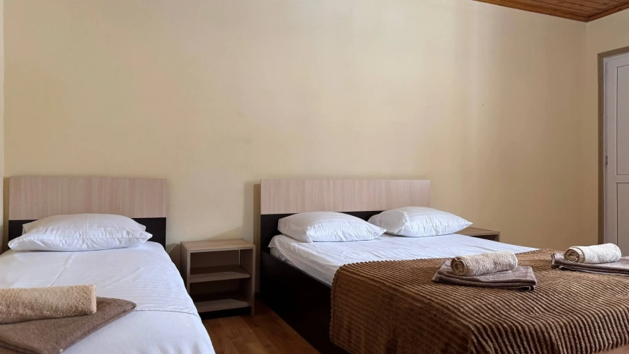 1 Bedroom Standard room with city view
