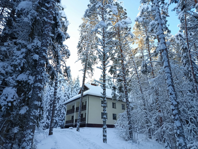 Изображение 1