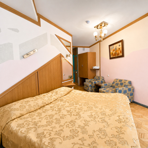 Superior Single room with mountain view