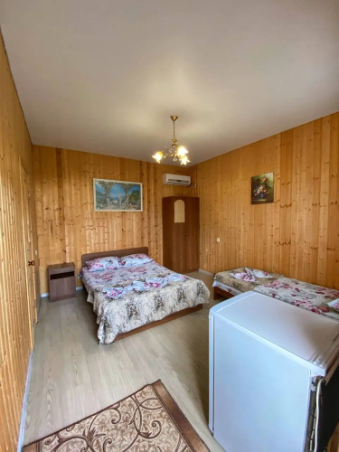 Nelli Guest house