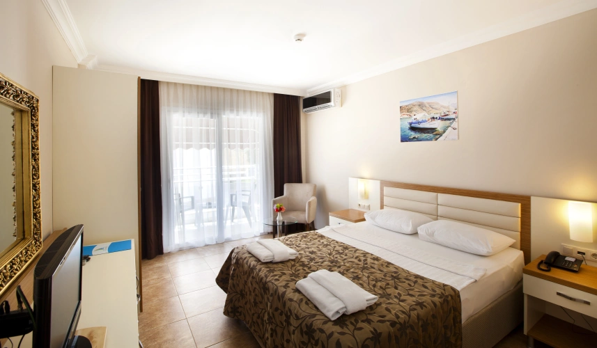 Standard Double room with balcony and with pool view