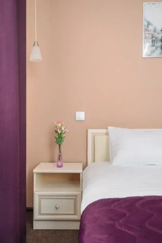 Фотография номера гостиницы Ring Road