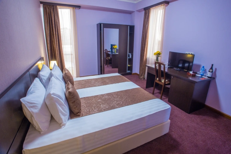 Premium Double room with city view