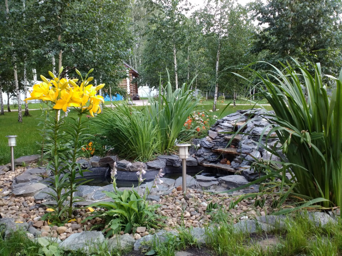 Изображение 1