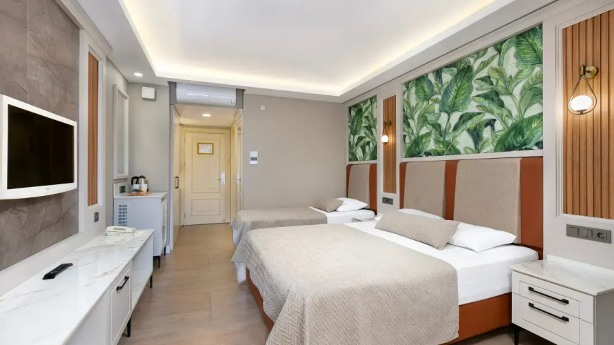 Standard Double room with balcony and with land view