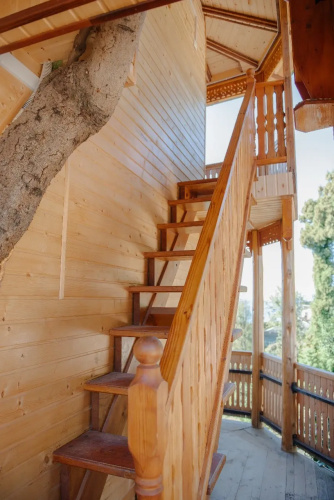 Фотография номера Коттеджа Частный дом TreeHouse GoldenSeaView TreeHouse