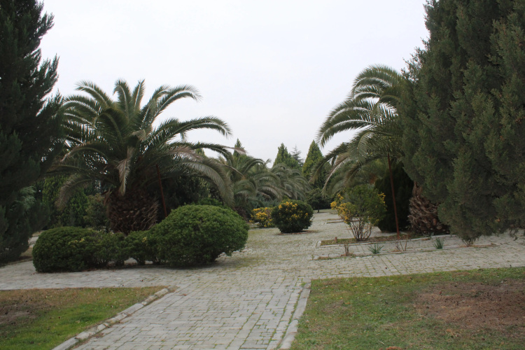 Arena Agdash Hotel